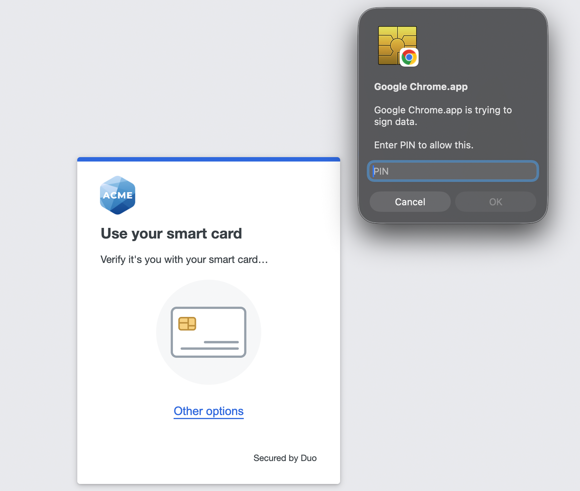 Duo Federal Smart Card User Authentication with PIN