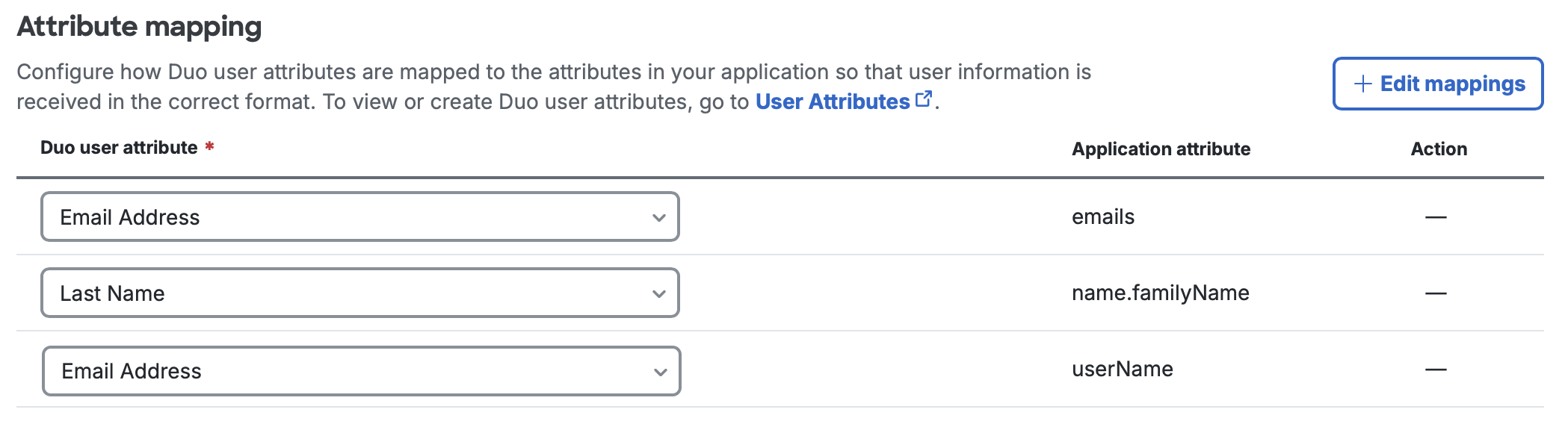 Salesforce Attribute Mapping