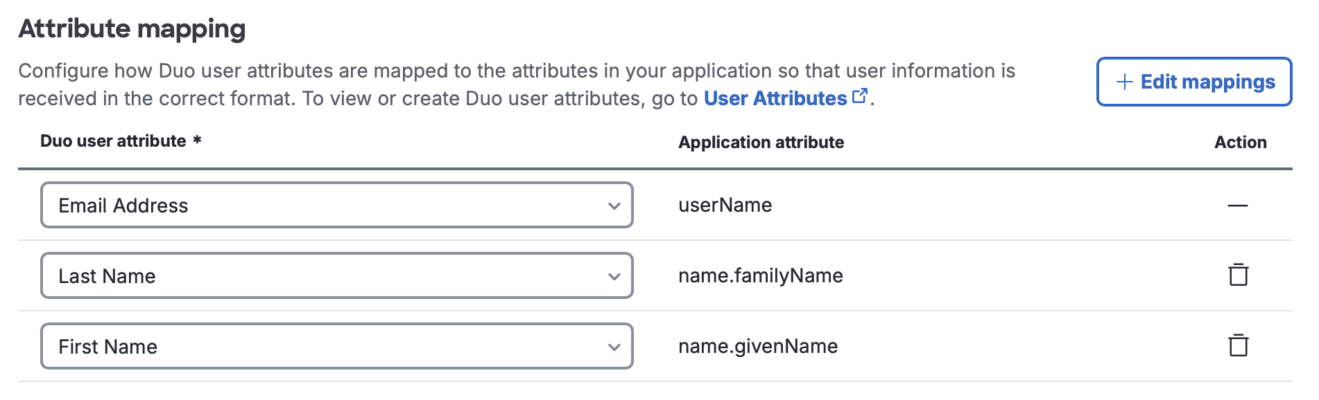 Apple Business Attribute Mapping