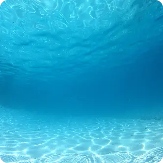 Underwater view of clear blue ocean with sunlight reflecting on the sandy sea floor.